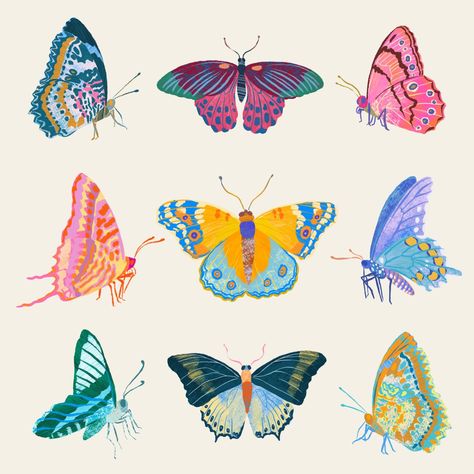 Butterfly Drawing Colorful, Tropical Butterfly, Colorful Butterfly, Butterfly Illustration Design, Butterflies Art, Pattern Butterfly, Butterfly Arts And Crafts, Butterfly Illustration Simple, Butterflies Illustration