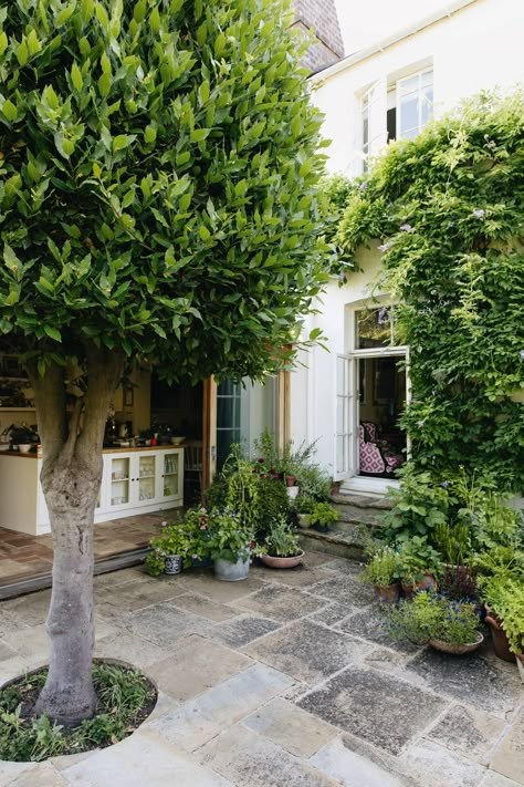 Circular Lawn, Growing Organic Vegetables, York Stone, Courtyard Gardens, Small Flower Pots, London Garden, Garden Inspo, London Home, Garden Architecture