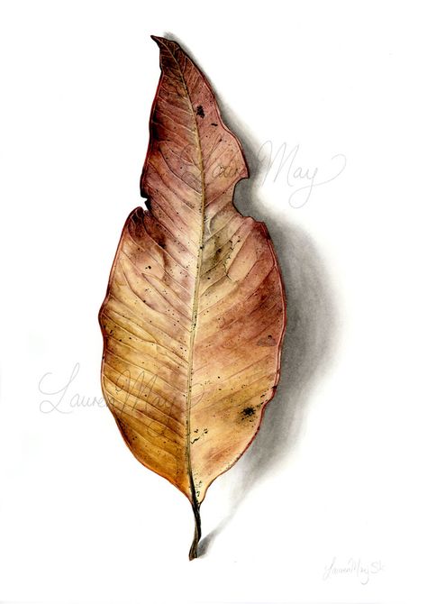 Leaves Drawing, Leaf Watercolor, Watercolour Inspiration, Leaf Drawing, 수채화 그림, Botanical Painting, Botanical Watercolor, Watercolor Leaves, Drawing Pencil