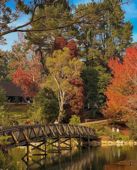 The countryside in autumn 🍂 🍂🍂🍂 #holiday #vacation #australia #sydney #melbourne #yarravalley #mindfulness #peace #peaceful #picturesque #photography #fashion #summer #autumn #autumnvibes🍁 #winter #travelling #travel #explore #exploreaustralia #simpleliving #vacationmode #exploremore #nature #winter #winterfashion #naturephotography #quietlife Vacation Australia, Autumn Holiday, Nature Winter, Australia Sydney, Yarra Valley, Holiday Vacation, Vacation Mode, Photography Fashion, Simple Living