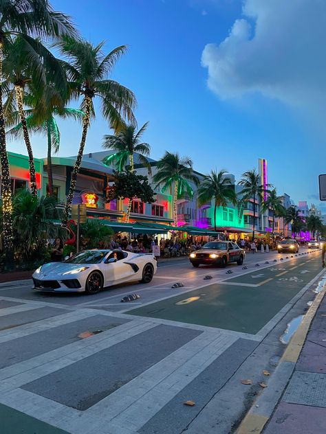 When visiting Florida, a lovely area to explore is Ocean Drive near Miami Beach. 
Tips: bring your own bike or rent one of the citybike to enjoy a good ride on that street. Miami Best Places, Miami Fl Aesthetic, Miami Asthetic Picture, Miami Travel Aesthetic, Miami College Aesthetic, Maimi Aesthetic, Rich Miami Aesthetic, Miami Vacation Aesthetic, Miami Aesthetic Beach