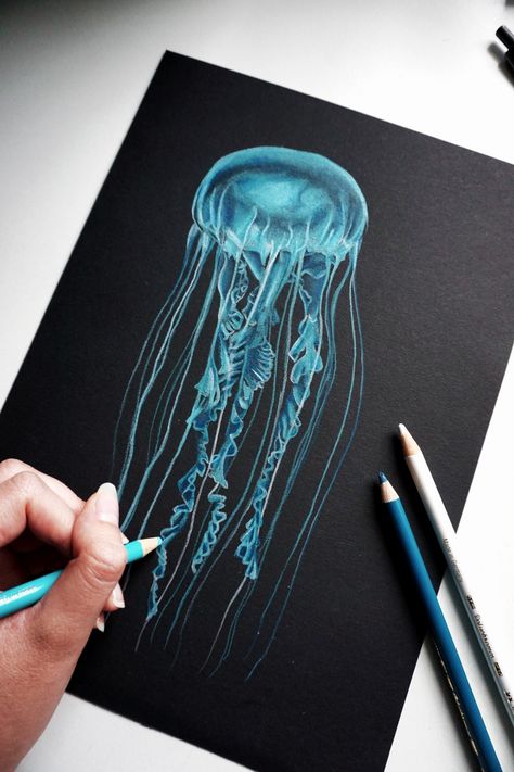 White On Black Paper Drawing, Things To Draw On Black Paper, Drawing On Black Paper Easy, Drawing Ideas On Black Paper, Drawings On Black Paper, Painting On Black Paper, Black Paper Drawings, Black Paper Art, Jellyfish Drawing