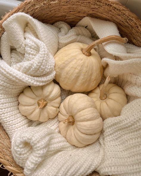 Cream Autumn Aesthetic, Halloween Beige Aesthetic, Fall Cream Aesthetic, Neutral Autumn Aesthetic, Cream Fall Aesthetic, Fall Beige Aesthetic, Beige Halloween Aesthetic, White Aesthetic Autumn, Beige Aesthetic Autumn