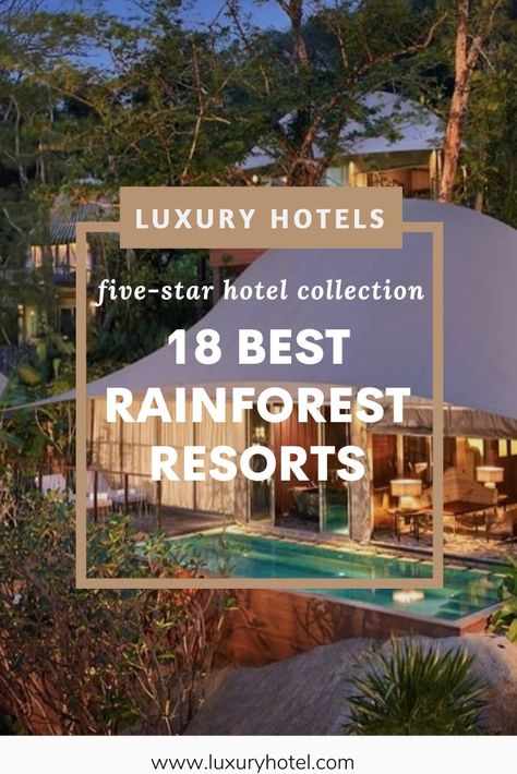 Lush green mile high trees, rushing waterfalls, and echoing cries of the wild are just a few of the wonders you can experience at these 18 rainforest resorts all over the world. Visit our website to find the best luxurious vacations & jungle retreats. #luxuryhotel #luxuryvilla #luxuryresort #luxurylodge #rainforest #rainforestresort #australia #belize #costarica #treehouse " Jungle Resort Design, Jungle Hotel, Brazil Rainforest, Jungle Retreat, Mexico Resort, Unique Resorts, Costa Rica Luxury, Forest Resort, Rainforest Habitat