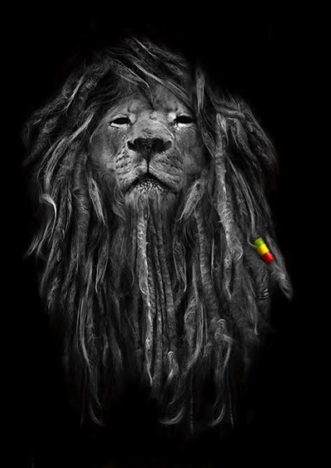 Rasta Lion good idea for a Leo tat Rasta Lion, Lion Tattoo, A Lion, Locs, Lion, A Black, Tattoo Ideas, Dreadlocks, Wallpapers