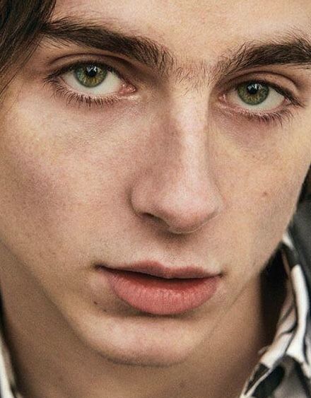 timothee chalamet gq 얼굴 그리기, Lil Timmy Tim, Timmy T, Sleepy Eyes, Call Me By Your Name, I Call You, Face Reference, Timothee Chalamet, 인물 사진