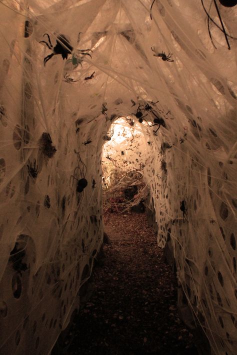 This is scarier than any gore/slasher film. I'd curl into a ball if I was stuck in this. -MR Halloween Hallway, Halloween Streamers, Dekorasi Halloween, Halloween Decor Diy, Casa Halloween, Halloween Fest, Halloween House Party, Diy Halloween Decor, Halloween Prop