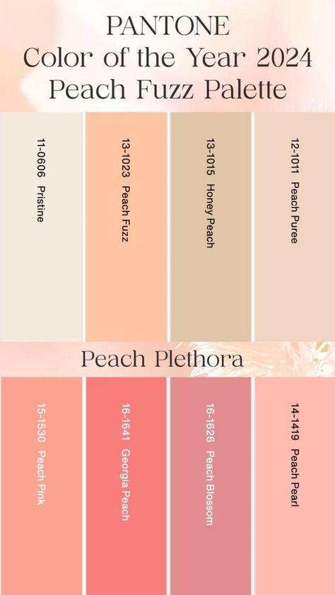 Peach Fuzz Color Outfit, Peach Color Palettes, Pantone Trends, Color Of The Year 2024, Colour Crush, Color Pantone, Hex Color, Pantone Colour Palettes, Pantone Color Of The Year