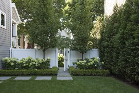 Front Garden Landscaping, Front Landscaping, Fence Landscaping, Sitges, White Garden, Home Landscaping, Garden Landscape Design, White Gardens, House Landscape