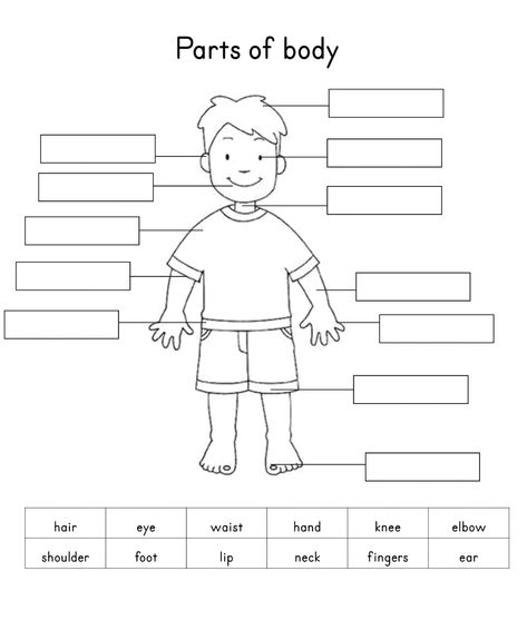 Human Body Parts | Body Parts worksheet | List the Body Parts Body Parts Worksheet, Body Worksheet, English Kindergarten, Body Parts For Kids, Human Body Worksheets, Parts Of Body, Worksheets For Class 1, Body Parts Preschool, Club Activities