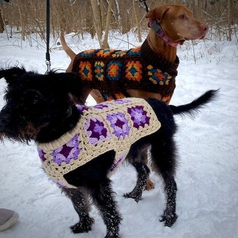 Crochet For Pets, Crochet Dog Sweater, Dog Crochet, Mode Crochet, Embroidery Crochet, Sewing Crochet, Fun Crochet, Crochet Things, Fun Crochet Projects