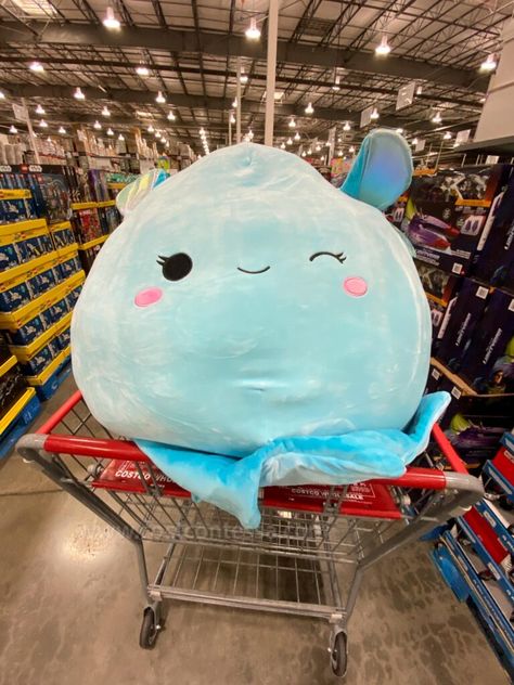 Giant Squish Mellows, Big Squishy Stuffed Animal, Really Big Squish Mellows, Cute Squishmallows Big, Squishmallows Big Size, Costco Squishmallow, Squish Mellows Big, Store Squishmallows, Huge Squishmallows