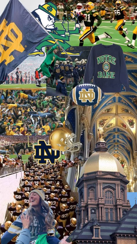 Notre Dame University Notre Dame Game Day, Ashley Christensen, Notre Dame Wallpaper, Wedding Dress Kids, Notre Dame Campus, Noter Dame, College Announcements, Notre Dame College, College Wallpaper