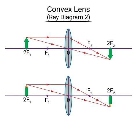 Convex Lens Ray Diagram 2 Convex Lens, Vector Art, Vector Free, Clip Art, Quick Saves