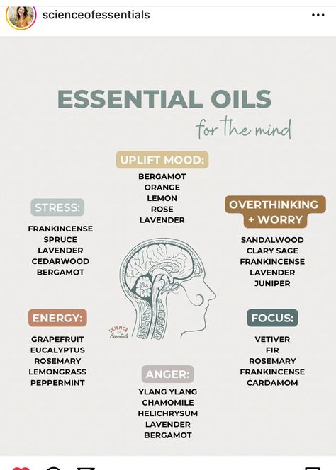 Essential Oils For Massage Therapy, Essential Oils For Focus, Essential Oil Business, Essential Oils Focus, Essential Oil Perfumes Recipes, Plant Therapy Essential Oils, Essential Oil Education, Essential Oil Remedy, Essential Oil Diffuser Blends Recipes