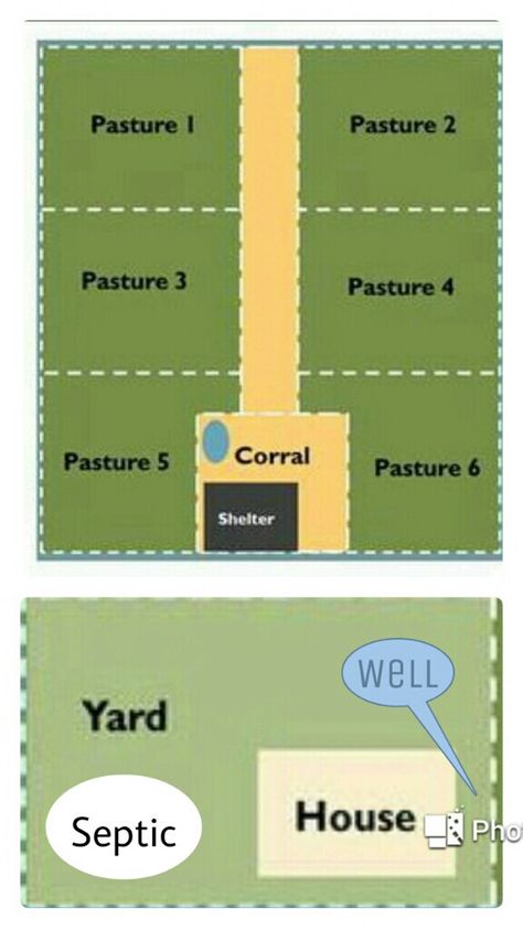 Potential pasture layout - 5 acre rectangular lot Livestock Pasture Layout, 8 Acre Farm Layout, Goat Pasture Layout, 4 Acre Farm Layout, Rotational Grazing Layout, 3 Acre Farm Layout, 3 Acre Horse Farm Layout, 1 Acre Horse Property Layout, 5 Acre Homestead Layout Hobby Farms