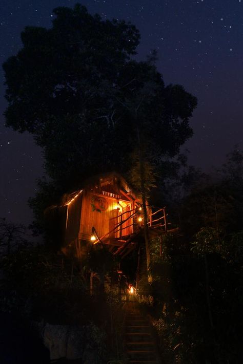 Tree house/ watch tower that may wind around a tree or set atop the pool side jacuzzi Tree House Aesthetic Dark, Old Treehouse Aesthetic, Tree House Aesthetic Inside, Tree House Aesthetic, Tree House Homes, Treehouse Aesthetic, Campus Drivers, Tree House Bedroom, Holding Up The Universe