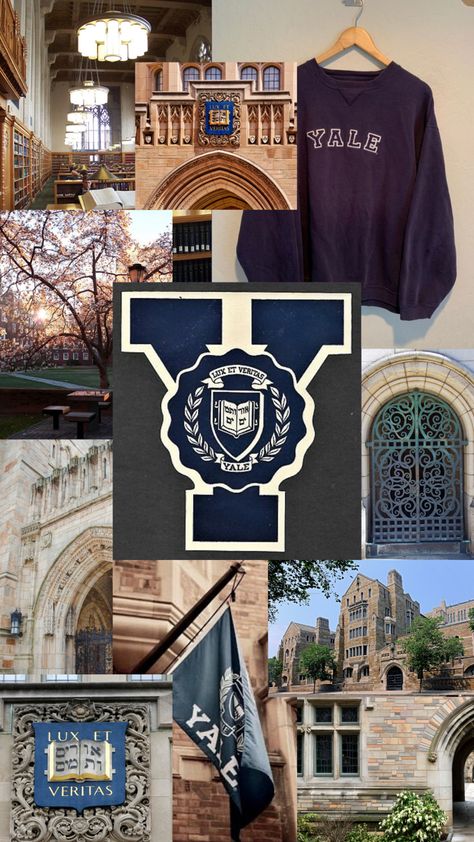 Yale Vision Board, Yale Wallpaper Aesthetic, College Board Ideas, Yale College Aesthetic, Ivy League Aesthetic Wallpaper, Yale University Wallpaper, Yale University Aesthetic Wallpaper, Harvard University Aesthetic Wallpaper, Ivy League Wallpaper