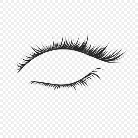 Eyelash Png, Eyelashes Png, Eid Background, White Eyelashes, Short Lashes, Black Png, Blank Background, Remove Background From Image, India Facts