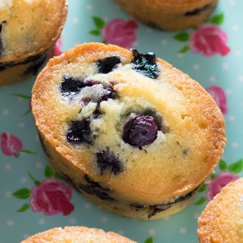 Blueberry Friands Blueberry Friands, Friands Recipe, Financier Recipe, Blueberry Cakes, French Sweets, Shop Business Ideas, Appetizer Dessert, Blueberry Muffin, Small Desserts