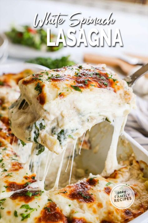 Easy White Lasagna with Spinach Recipe: Looking for an easy pasta dinner that's sure to please? This lasagna casserole is the answer! Layers of creamy sauce and spinach make for a comforting and delicious meal. The secret to this recipe is the white sauce, which is made with a blend of butter, flour, milk, and Parmesan cheese. The garlic white sauce is absolutely delicious. The spinach adds a bright pop of color and freshness to the dish, making it a feast for the eyes as well as the taste buds. Easy White Lasagna Recipe, White Spinach Lasagna, Lasagna Sauce Recipe, Garlic White Sauce, White Lasagna Recipe, Lasagna With Spinach, White Sauce Lasagna, Spinach Casserole Recipes, Spinach Mushroom Lasagna