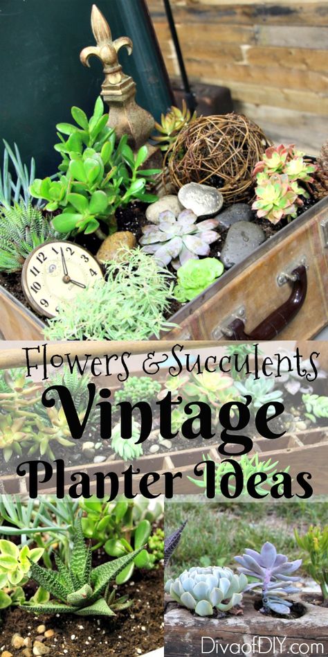 Unique Flower Planter Ideas For Flowers and Succulents | Diva of DIY Flower Planter Ideas, Indoor Succulent Garden, Unusual Planter, Flowers And Succulents, Succulent Garden Indoor, Vertical Vegetable Garden, Succulent Garden Design, Unique Planter, Pallets Garden