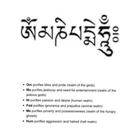 Om Mani Padme Hum: Buddhism. Tattoo for my anterior rib cage on my left side. Om Mani Padme Hum Meaning, Tibetan Tattoo Meaning, Om Mani Padme Hum Tattoo, Tibet Tattoo, Buddhism Tattoo, Yantra Tattoo, Tibetan Tattoo, Mantra Tattoo, Buddhist Tattoo