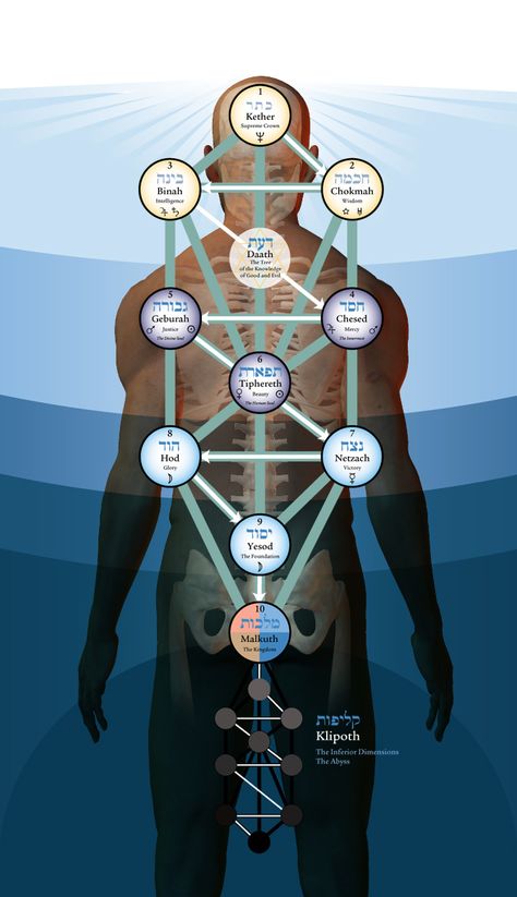 Kabbalah, the Tree of Life on the body Sacred Geometry Symbols, Occult Symbols, Alchemy Symbols, Esoteric Art, Magic Symbols, Occult Art, Ancient Knowledge, Les Chakras, Chakra Meditation