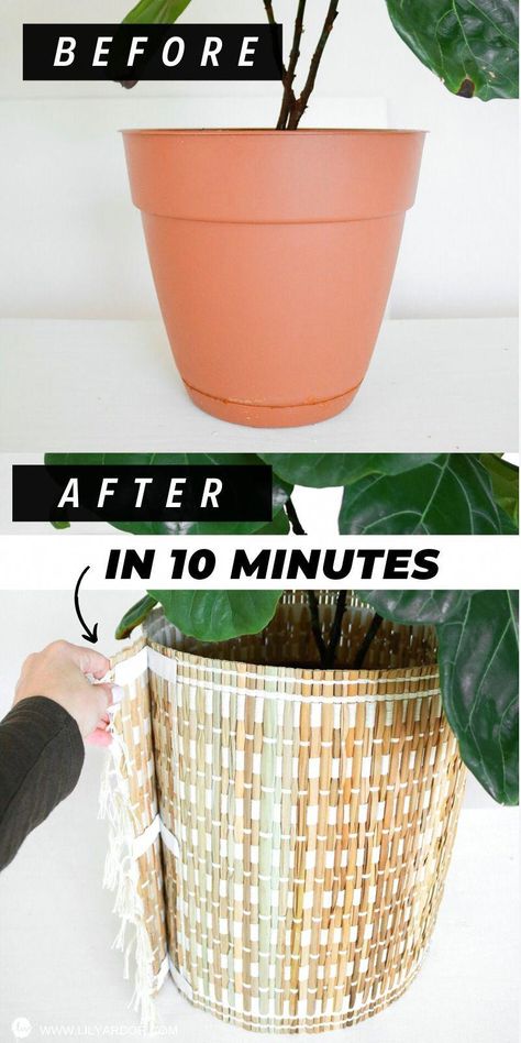 With this Ugly Pot HACK you'll have pretty planters in minutes! 3 ways to Transform your ugly plastic pots in minutes! ON A BUDGET?? This easy hack only... Cool Planters, Diet Schedule, Plant Pot Diy, Planting Pot, Plastic Plant Pots, Diy Flower Pots, Plastic Planters, Big Plants, All Things Green