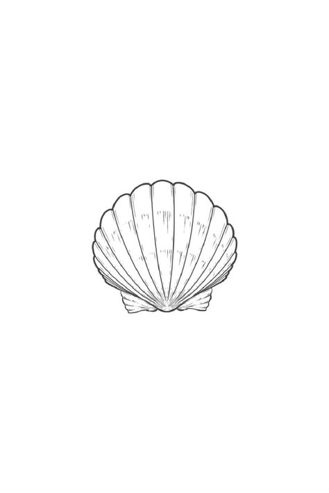 Shell Tattoo Stencil, Small Tattoos Sea, Sea Shell Tattoo Design, Shell Tattoo Meaning, Sea Shell Tattoos For Women, Fineline Shell Tattoo, Fine Line Seashell Tattoo, Minimal Seashell Tattoo, Seashell Tattoo Design