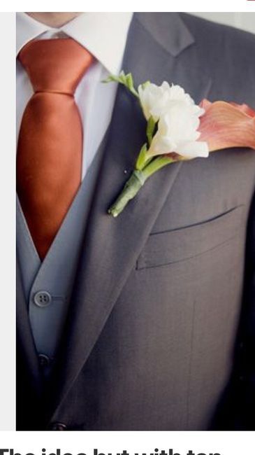 Groomsmen attire to match rust bridesmaids? | Weddings, Wedding Attire | Wedding Forums | WeddingWire Grey Suit Rust Tie Wedding, Grey Suit Rust Tie, Grey And Rust Wedding, Rust And Grey Wedding, Orange Groomsmen, Rust Pants, Suit Groomsmen, Groomsmen Ideas, Groomsmen Grey