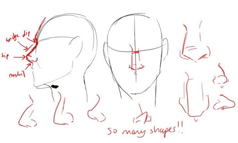 How To Draw Nose Front View, How To Draw Noses Front View, How To Draw Hooked Nose, Hook Nose Reference, Pointy Nose Front View, Hook Nose Drawing, Hooked Nose Front View Drawing, Hooked Noses Front View, Hook Nose Front View