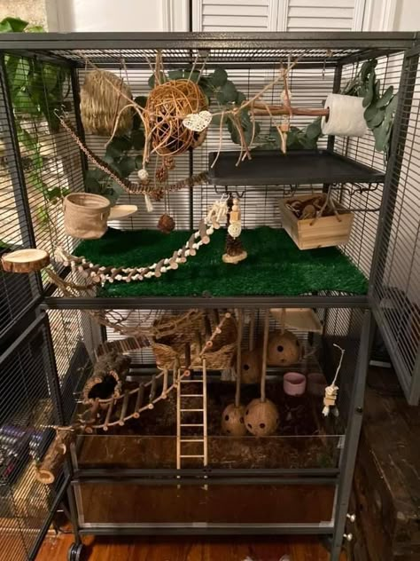 Big Rat Cage, Rat Cage Decor, Pet Rat Cage Setup, Critter Nation Rat Cage Ideas, Mice Enclosure Ideas, Rat Cage Aesthetic, Bioactive Rat Cage, Natural Rat Cage, Aesthetic Rat Cage