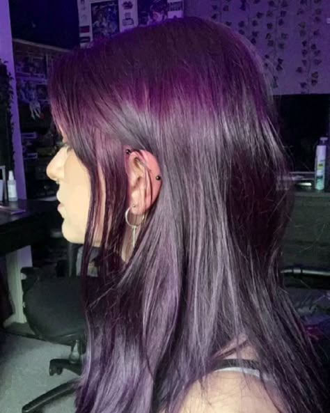 Unique Hair Dye Patterns, Dark And Purple Hair, Purple Goth Hair, Purple On Brown Hair, Purple Dark Hair, Cute Ways To Dye Your Hair, Dark Purple Hair Aesthetic, Grape Purple Hair, Long Dark Purple Hair