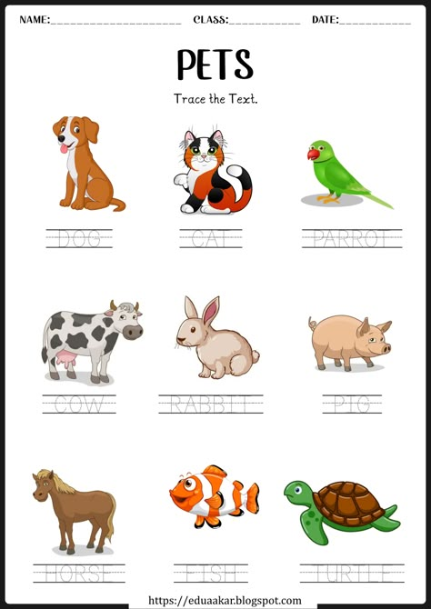 Pet Animals worksheets Kinds Of Animals Worksheets, Busybook Idea, Pet Animals Worksheets For Kids, Pet Animals Worksheet, Domestic Animals Worksheets For Kids, Domestic Animals Worksheets, Evs Worksheet, Wild Animals List, Dentist Cartoon