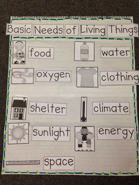 Basic Needs Basic Needs Of Living Things, Living And Nonliving, Science Anchor Charts, Kindergarten Social Studies, 1st Grade Science, First Grade Science, Primary Science, Chalk Talk, Science Ideas