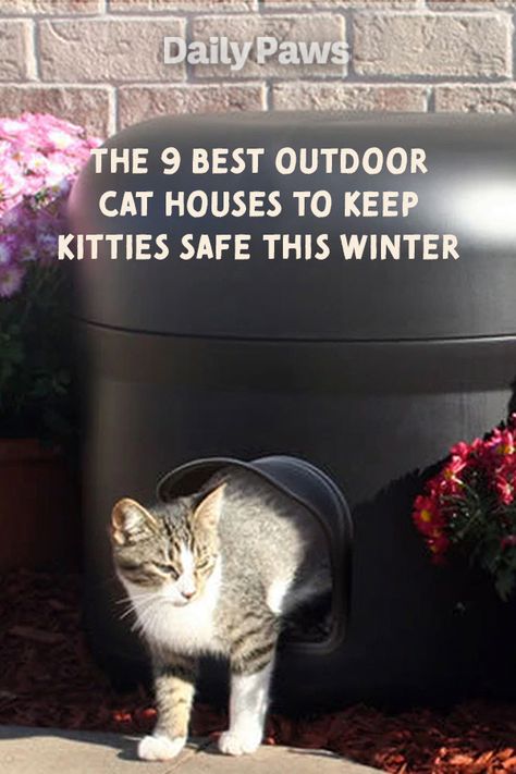 Outside Cat Box For Winter, Cat Kennel Outdoor, Easy Cat House Outdoor, Diy Cathouse, Outdoor Cat House Ideas, Outdoor Cat Box For Winter, Outdoor Cat Bed, Cat Outdoor House, Diy Heated Cat House Outdoor