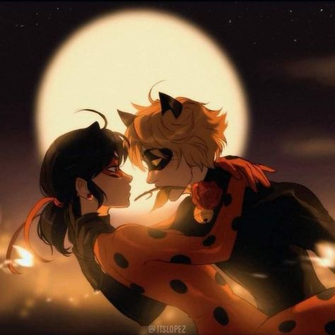 Catnoir And Ladybug, Miraculous Ladybug Kiss, Marinette Et Adrien, Ladybug Wallpaper, Miraculous Wallpaper, Miraculous Ladybug Wallpaper, Ladybug Anime, Miraculous Ladybug Fanfiction, Marinette And Adrien