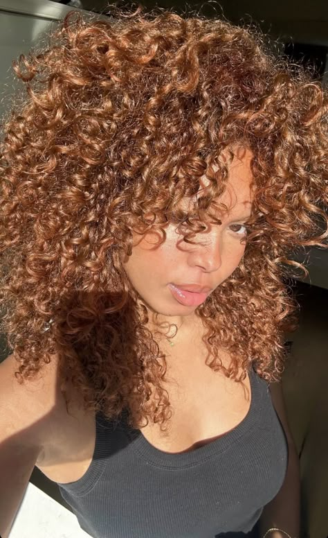 Honey Ginger Curly Hair, Ginger Brown Highlights Curly Hair, Honey Caramel Curly Hair, Copper Hair On Mixed Women, Honey Copper Brown Hair, Strawberry Blonde Curly Hair Highlights, Cinnamon Brown Curly Hair, Copper Curly Hair Highlights, Copper Brown With Highlights