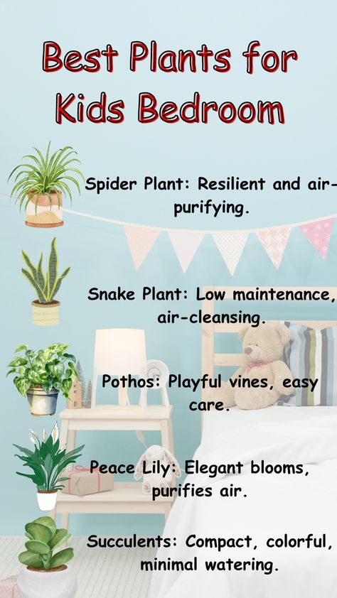 Transform your child’s bedroom into a green oasis with these top plant picks! From air-purifying spider plants to playful pothos vines, these easy-care plants are perfect for little ones’ rooms. Pothos Vine, Air Cleaning Plants, Planting For Kids, Spider Plant, Green Oasis, Easy Care Plants, Air Purifying, Plants Indoor, Kids Bedrooms