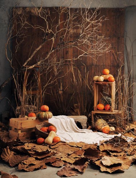 Fall Mini Shoot, Ruangan Studio, Photo Studio Design, Photography Studio Decor, Pumpkin Patch Photoshoot, Photography Studio Design, Fall Home Decor Ideas, Fall Backdrops, Halloween Photo Booth