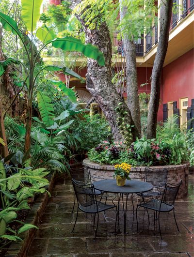 Mexican Courtyard, Italian Courtyard, Courtyard Apartments, Golden Rain Tree, French Courtyard, Flagstone Pathway, Indoor Courtyard, Courtyard Landscaping, Garden Decoration Ideas