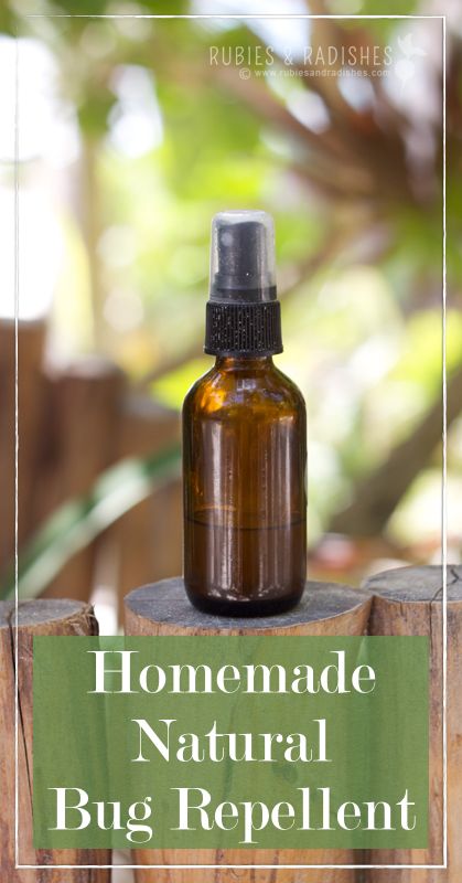 DIY Bug Spray: Natural Bug Repellent - Up and Alive Diy Bug Spray, Vacation In Mexico, Eaten Alive, Basil Essential Oil, Natural Bug Repellent, Natural Repellent, Insect Spray, Bug Repellent, Bug Spray