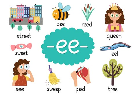 "Ee" words are the words for kids that contain "ee" at the beginning, middle or end. Make your child learn these words with the help of activities and help them improve their vocabulary. Jolly Phonics Story, Preschool Preparation, Ee Words, Two Letter Words, Digraphs Worksheets, Digraph Words, Phonics For Kids, Cvc Words Kindergarten, Learning Phonics