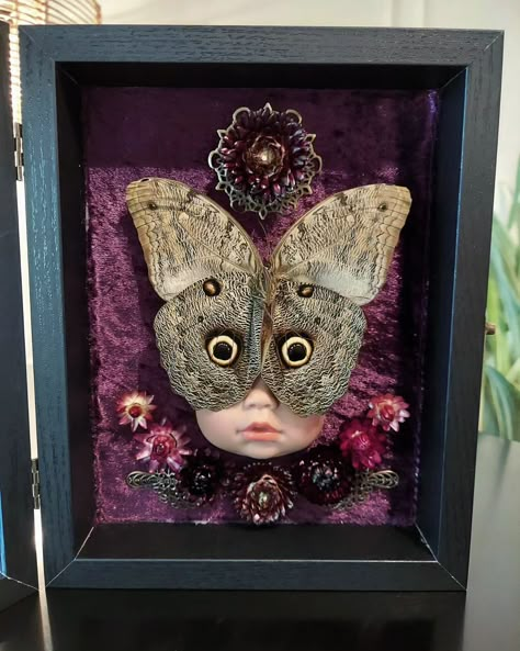 "Eye see you" 👀🦉🦋 This was too much fun to make! But had a really hard time getting pictures with the glass down. . . . #insectdiorama #insectart #butterflies #owlbutterfly #framedbutterfly #framedinsects #vultureculture #gothicdecor #gothicstyle #vultureculture Beetle Taxidermy Art, Creative Taxidermy, Curiosity Wall, Framed Bugs, Butterfly Taxidermy Art, Pinned Bugs, Diaphonized Specimens, Bug Pinning, Taxidermy Butterflies