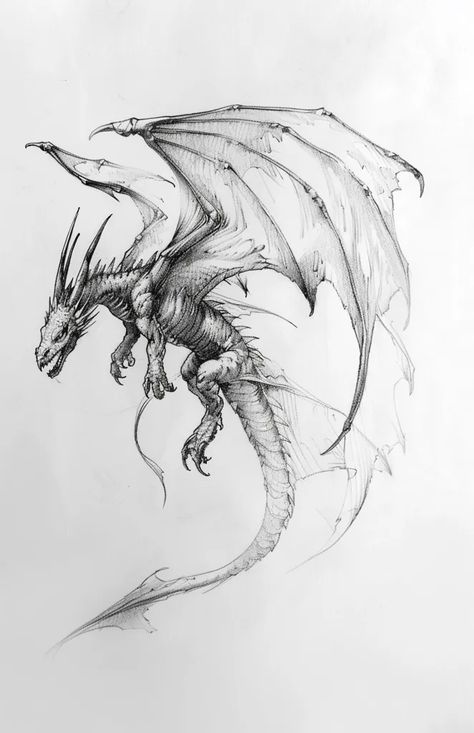 The image is a pencil drawing of a dragon. The dragon is depicted as a large, winged creature with a long, serpentine body and a head that resembles that of a crocodile ->> more details in ai-img-gen.com Dragon Curled Up, Long Dragon Drawing, Dragon Flying Drawing, Flying Dragon Drawing, Dragon Wings Drawing, Flying Dragon Tattoo, Realistic Dragon Drawing, Drawing Of A Dragon, Dragon Head Drawing