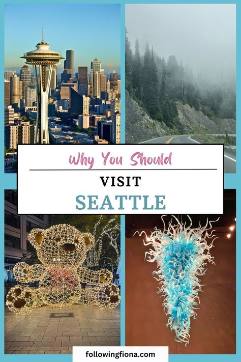 Considering a trip to Seattle, Washington? Find out why this city has so much to offer, from vibrant culture to must-see sights. 

Perfect for building your Seattle travel itinerary! 

Pin this for ideas on what to do and see in Seattle and more USA travel. Washington Things To Do, Purple Cafe, Day Trips From Seattle, Seattle Vacation, Seattle Travel, Visit Seattle, Rainier National Park, Sky View, Sculpture Park