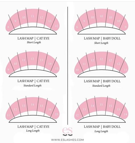 Cat Eye Lash Map, Eyelash Extensions Care, Eyelash Extensions Salons, Kitten Eyes, Lash Maps, Lash Map, Lash Mapping, Lash Quotes, Eyelash Tips