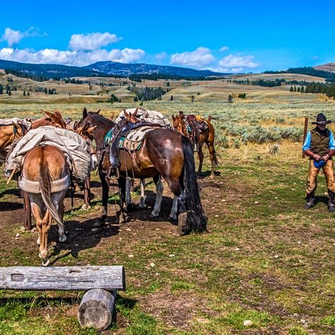 The best cowboy road trip itinerary from Texas to Yellowstone with a route, stops on the way, things to do and map. Idaho Wyoming Montana Road Trip, Yellowstone Road Trip Map, Mt Rushmore To Yellowstone Road Trip, Yellowstone Upper Loop Itinerary, Cheyenne Frontier Days, Western Road Trip U.s. States, White Sands National Monument, Carlsbad Caverns National Park, Yellowstone Trip