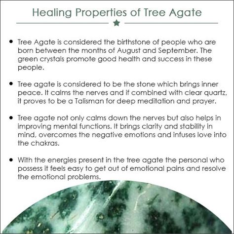 How Tree Agate Helps In Overcoming Life Storms | Gemexi Tree Agate Crystal, Agate Properties, Agate Meaning, Witch Spell Book, Crystals Healing Properties, Spiritual Crystals, Tree Agate, Deep Meditation, Crystal Therapy